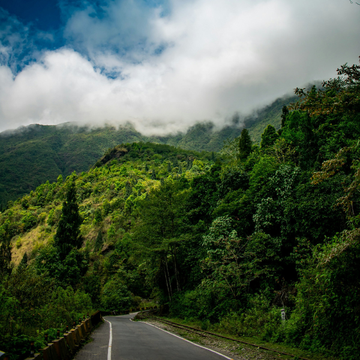 Land usage and the cultivation of tea