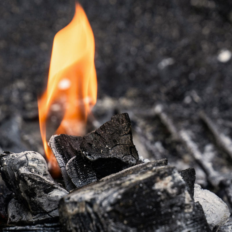 Roasted & Toasty