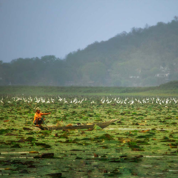 Assam, India