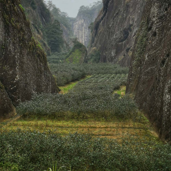 Fujian, China